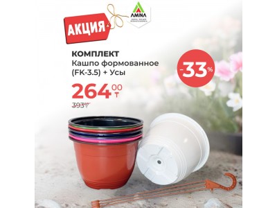 Акция! Комплект формованных кашпо и усов всего за 264 тенге – скидка 33% от Amina Sauda