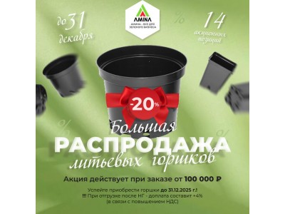 Большая распродажа литьевых горшков в Amina Sauda — скидка -20% до 31 декабря!