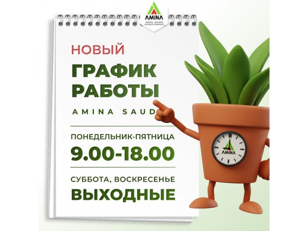 Важное обновление: новый график работы компании Amina Sauda