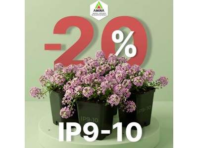 Легендарное качество IP9-10 по супер цене: скидка 20%!