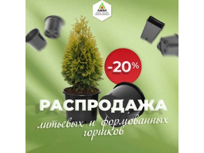 Распродажа горшков для цветов к весне в Amina Sauda: скидка 20% на формованные и литые горшки! Распродажа горшков для цветов к весне в Amina Sauda: скидка 20% на формованные и литые горшки!