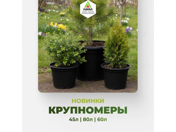 «Amina Sauda» расширяет горизонты: Новые литьевые крупномерные горшки для деревьев и кустарников – 45л, 6 л, 80л!