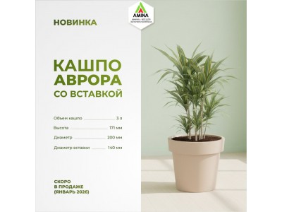 Кашпо "Аврора" от Amina Sauda: Новинка с Дренажной Вставкой – Откройте Предзаказ!