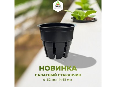 Новинка от Amina Sauda: термоформованный салатный стаканчик для гидропоники 62×51 мм