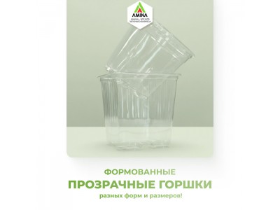 Прозрачные горшки для растений от Amina Sauda: Идеальное решение для современного садоводства! Прозрачные горшки для растений от Amina Sauda: Идеальное решение для современного садоводства!