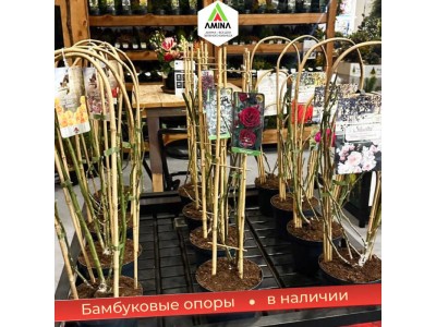 Натуральные бамбуковые опоры для растений от 60 до 400 см купить оптом в Amina Sauda