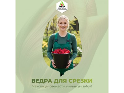 Обеспечьте идеальную свежесть тюльпанов к 8 Марта: Профессиональные ведра для срезки от Amina Sauda