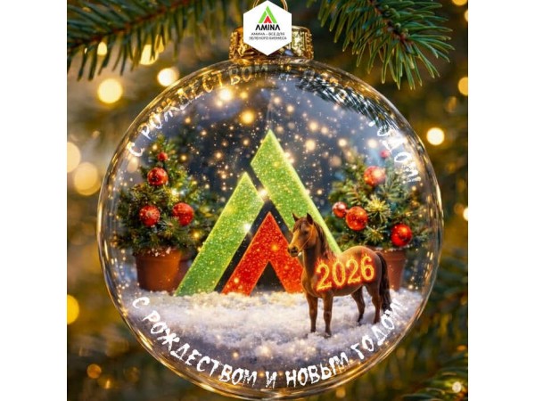 С Новым 2026 Годом и Рождеством! Amina Sauda желает Процветания и Успехов!