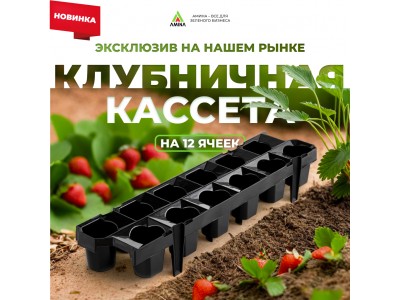 Революционная клубничная кассета для идеальной рассады!