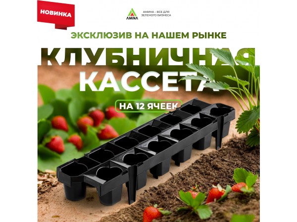 Революционная клубничная кассета для идеальной рассады!