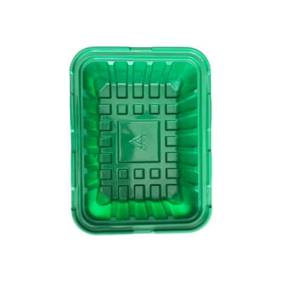 Лоток для минипарника (на 1 вставку) F-TRAY-GH1